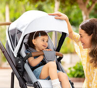 Acess&oacute;rios para cadeiras de passeio
